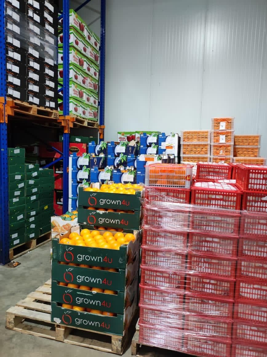 Fresh Produce — Prospect Trading warehouse photo 7